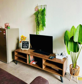 Homie 5pax FreeWifi carpark AndroidTVBox 1U DPAC